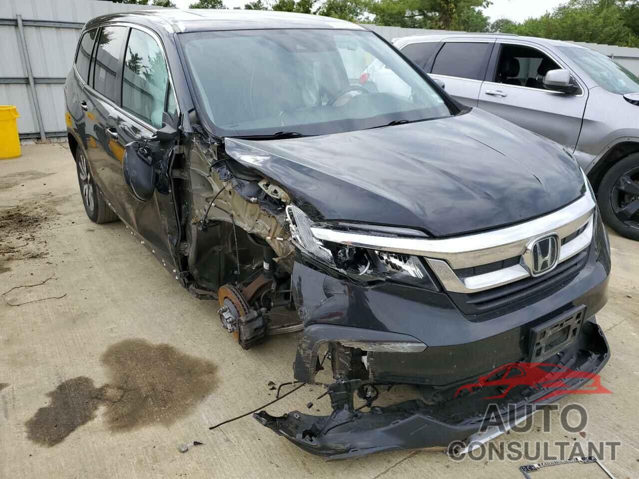 HONDA PILOT 2019 - 5FNYF6H59KB092038