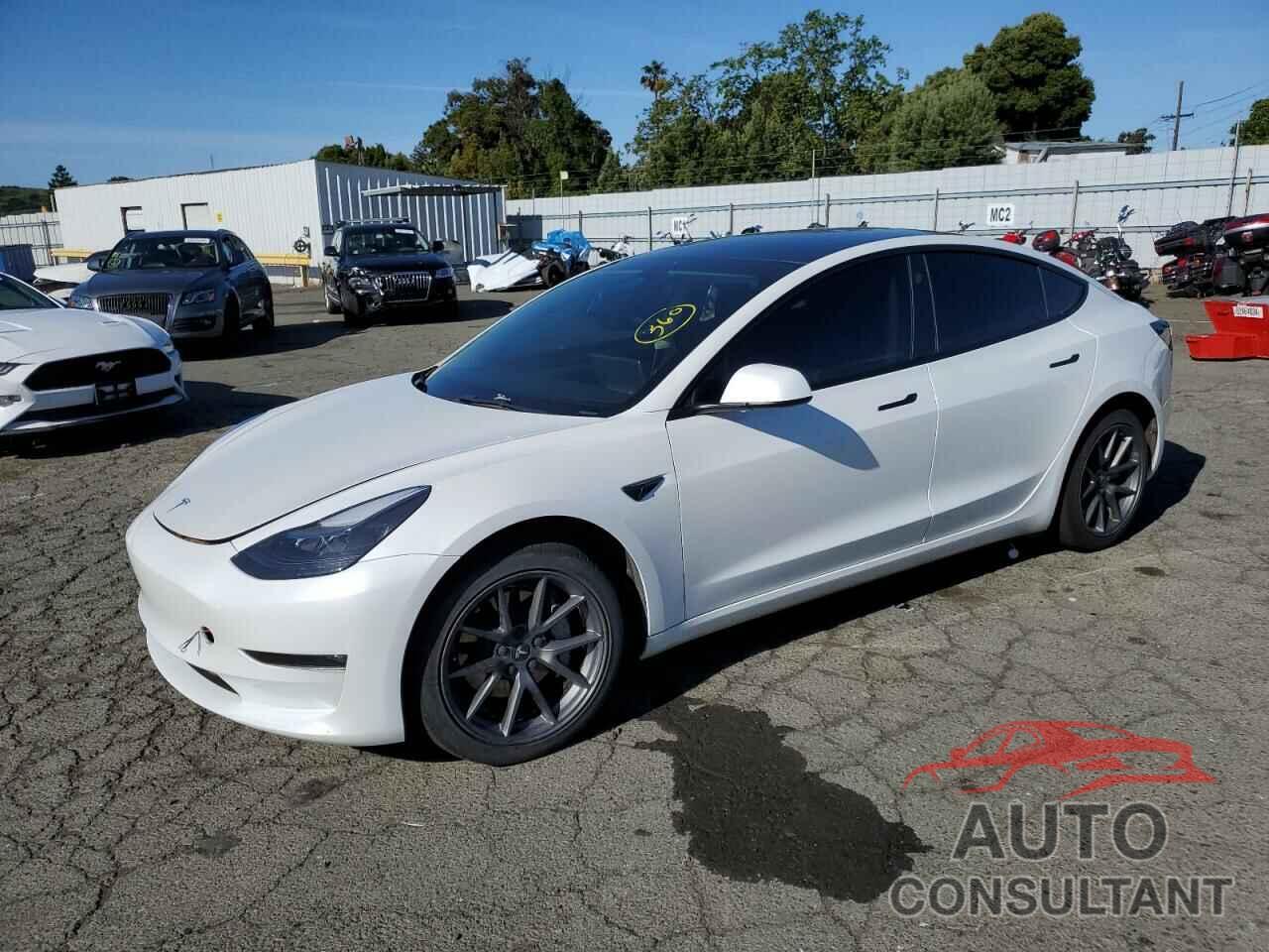 TESLA MODEL 3 2022 - 5YJ3E1EB9NF117857