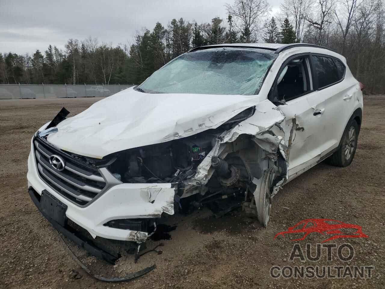 HYUNDAI TUCSON 2018 - KM8J33A44JU831618