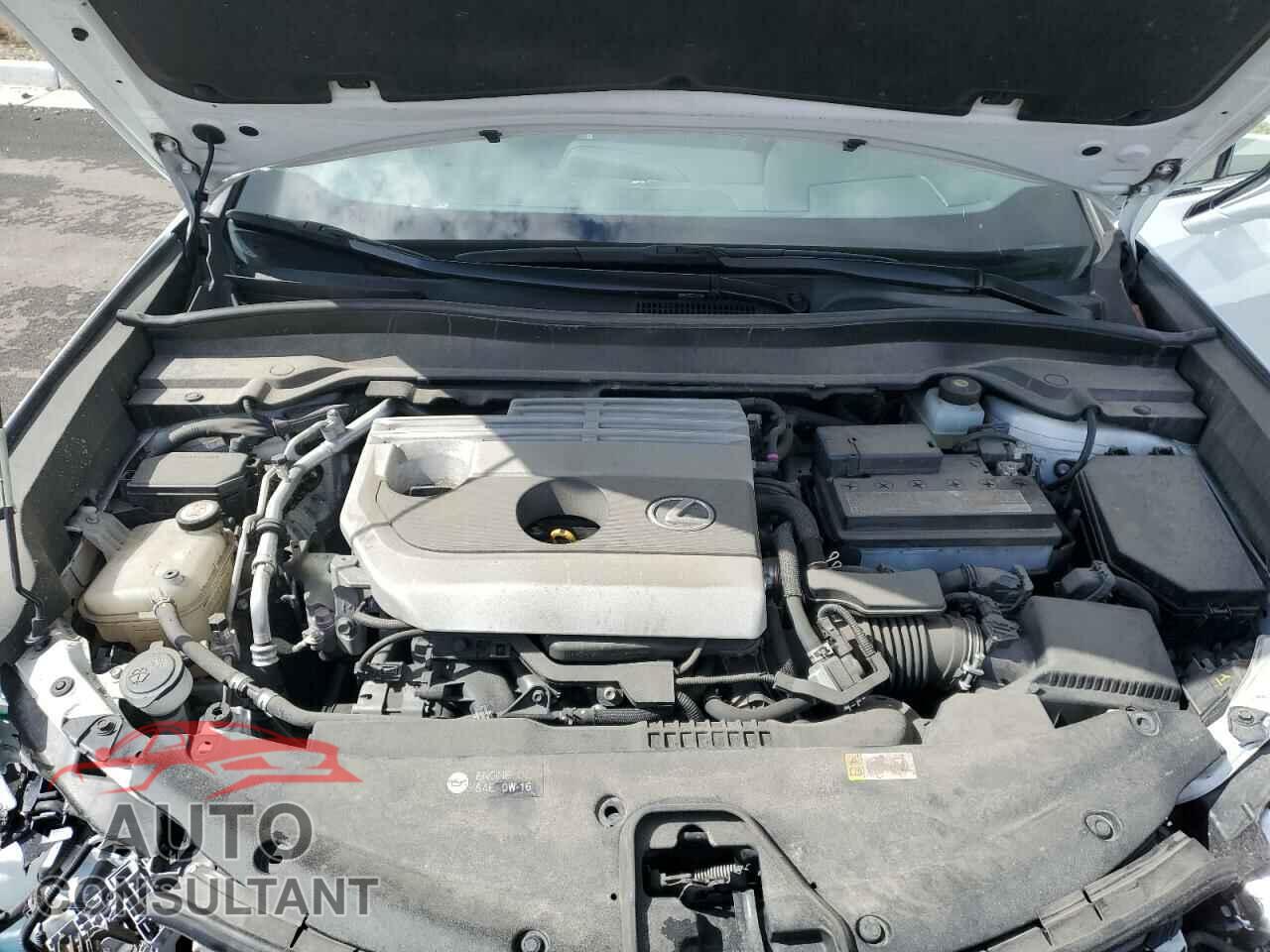 LEXUS UX 200 2019 - JTHY3JBH1K2005362
