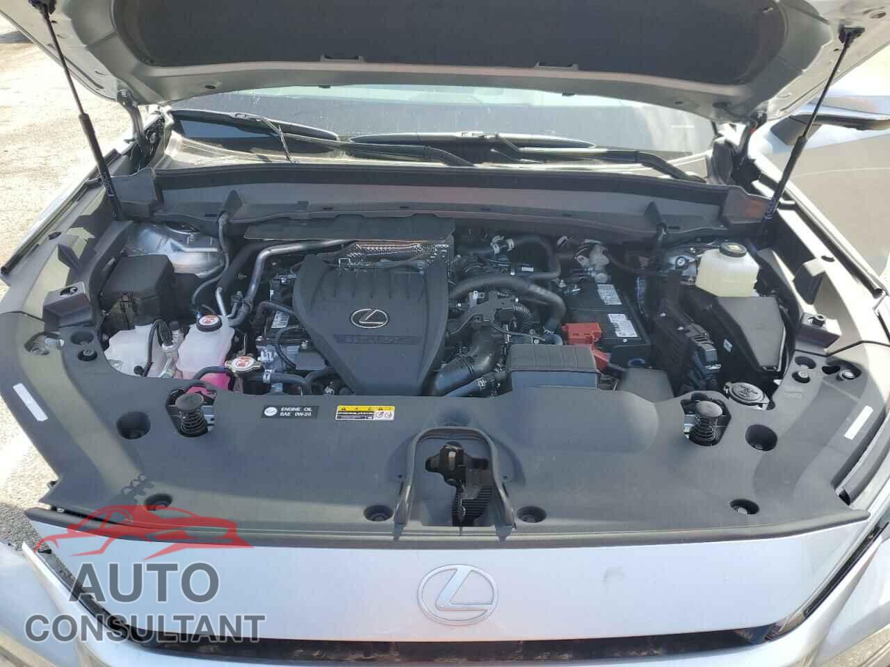 LEXUS TX 350 BAS 2024 - 5TDAAAA66RS003649