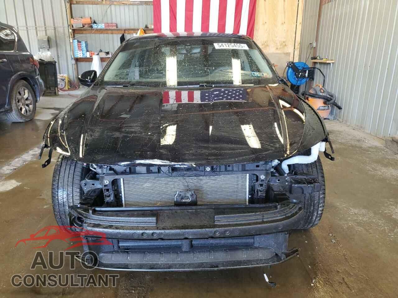 VOLKSWAGEN JETTA 2023 - 3VW5M7BU8PM055285