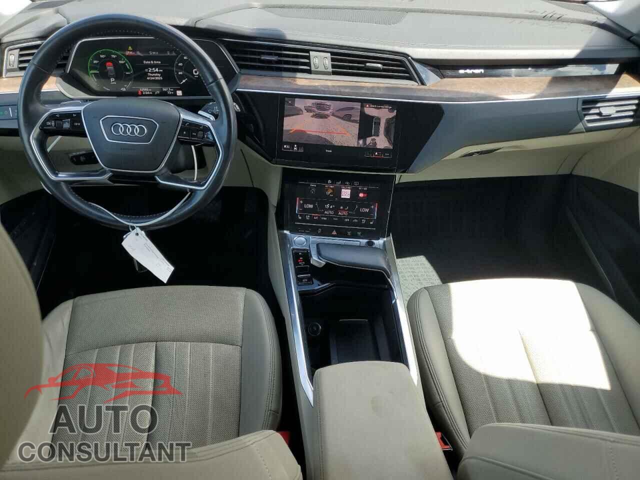 AUDI E-TRON 2019 - WA1LABGE1KB011825