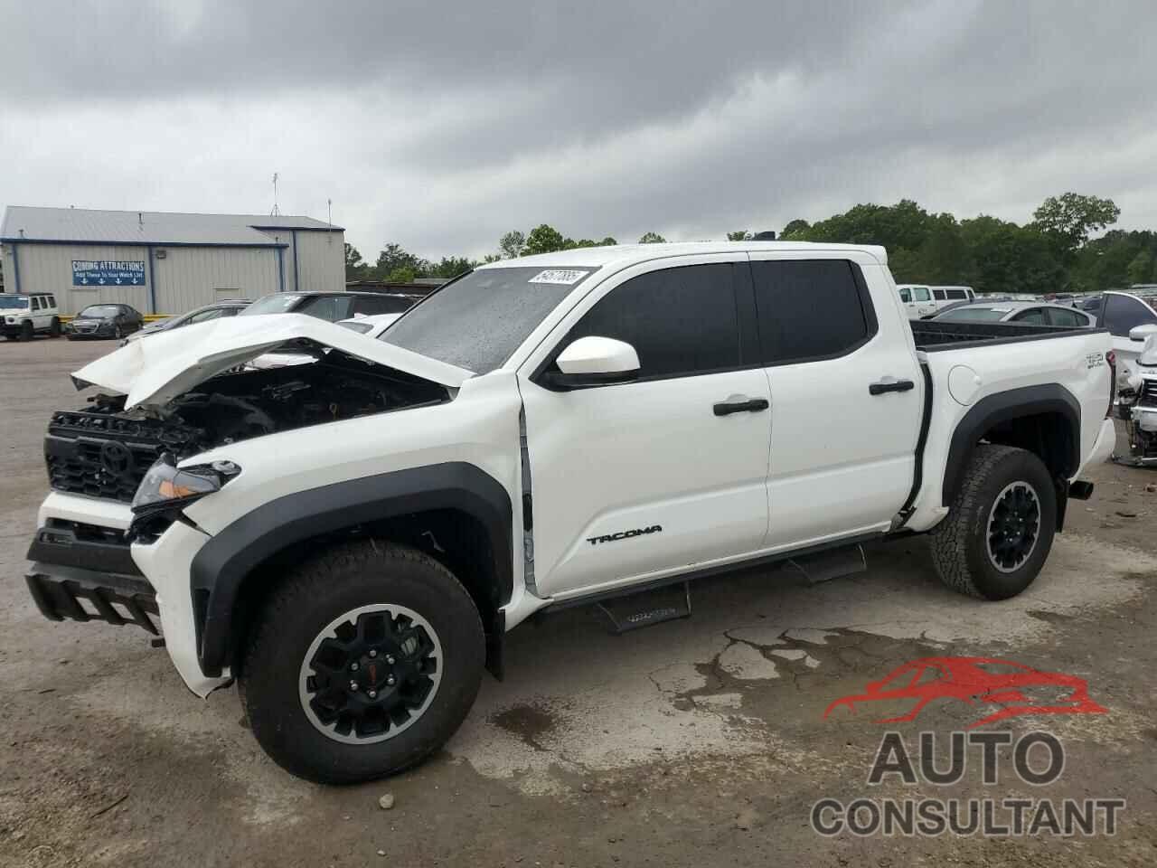 TOYOTA TACOMA 2024 - 3TYLB5JN8RT041845