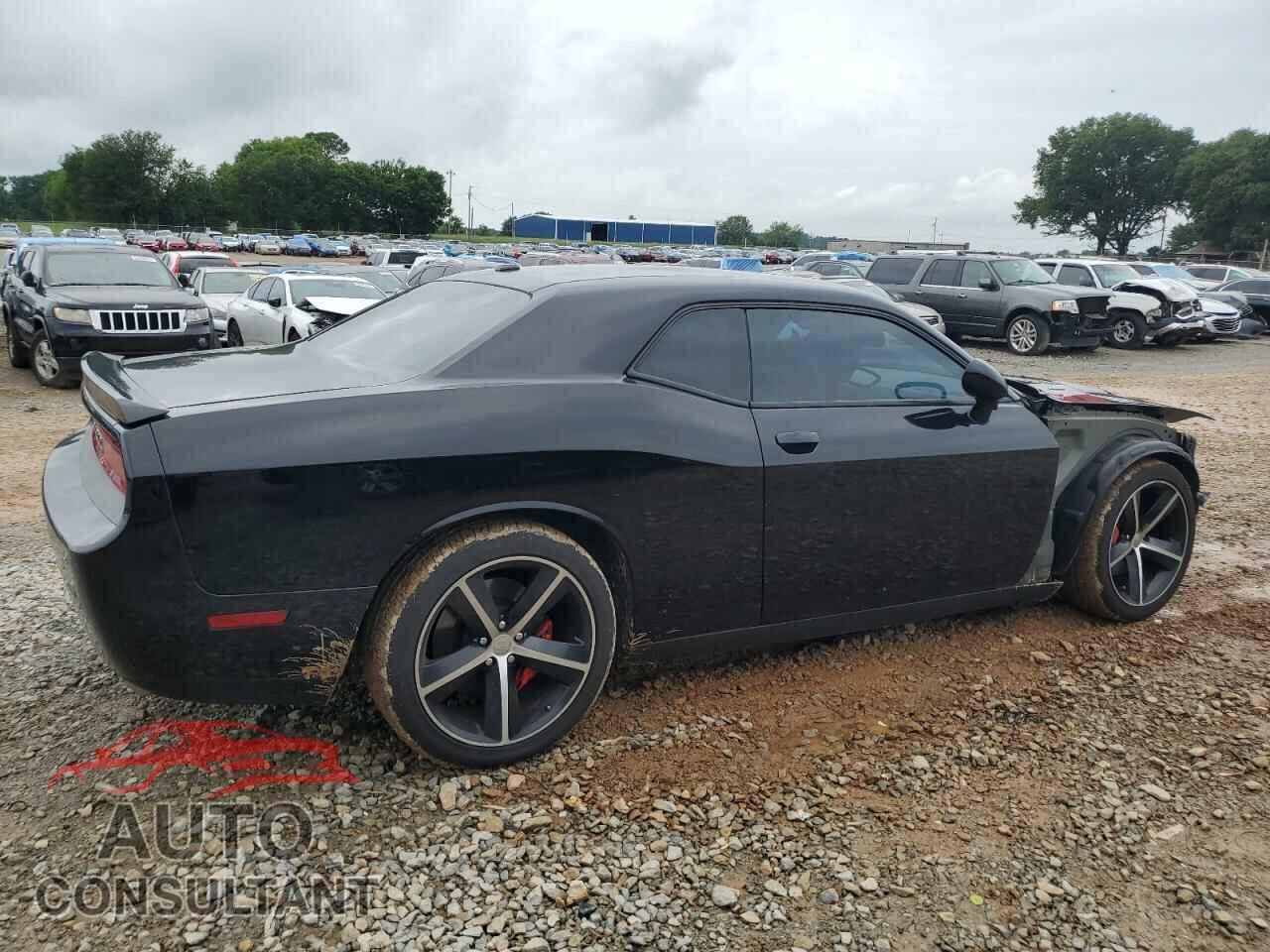 DODGE CHALLENGER 2013 - 2C3CDYBT2DH552273