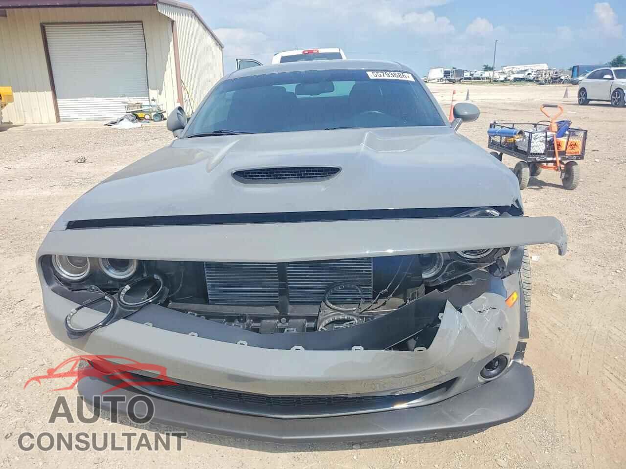 DODGE CHALLENGER 2019 - 2C3CDZBTXKH530072