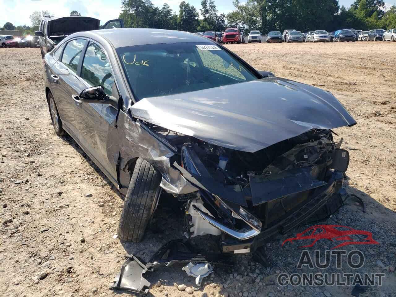 HYUNDAI SONATA 2019 - 5NPE24AF3KH817981