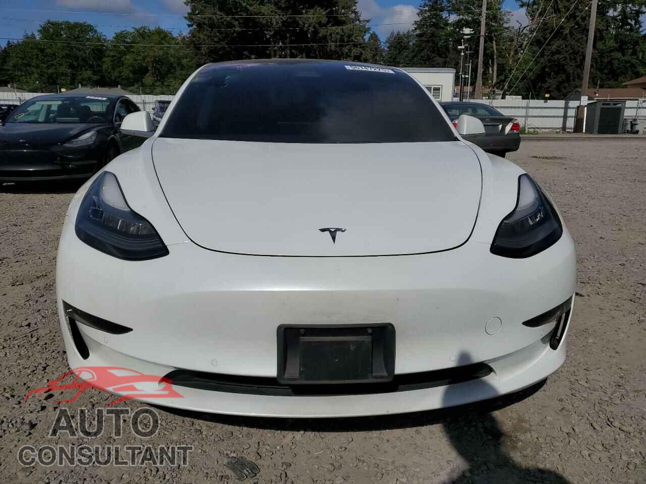 TESLA MODEL 3 2018 - 5YJ3E1EA7JF040942