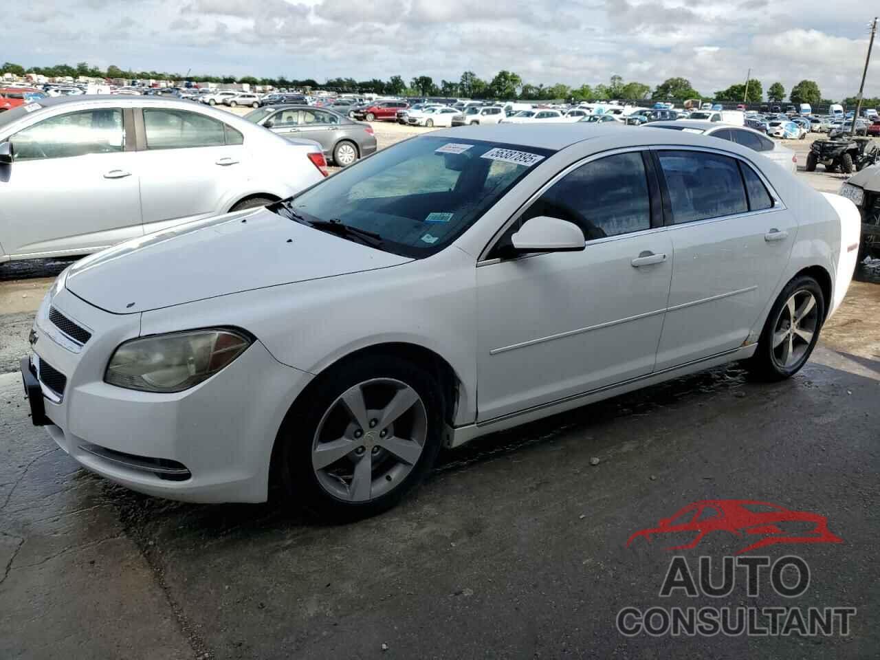 CHEVROLET MALIBU 2009 - 1G1ZJ57B394209563