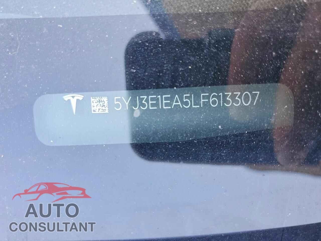 TESLA MODEL 3 2020 - 5YJ3E1EA5LF613307