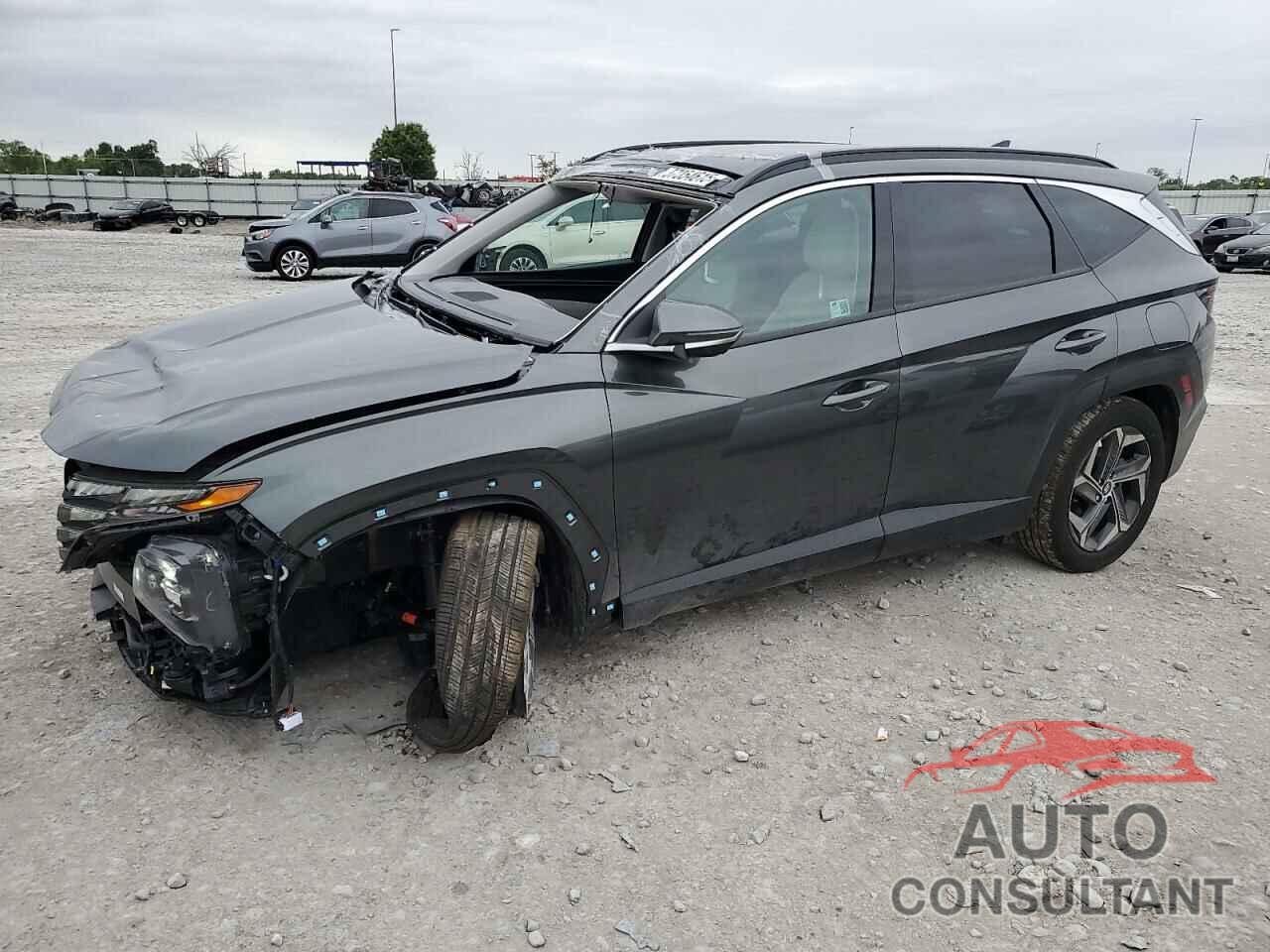 HYUNDAI TUCSON 2024 - KM8JECD18RU241770