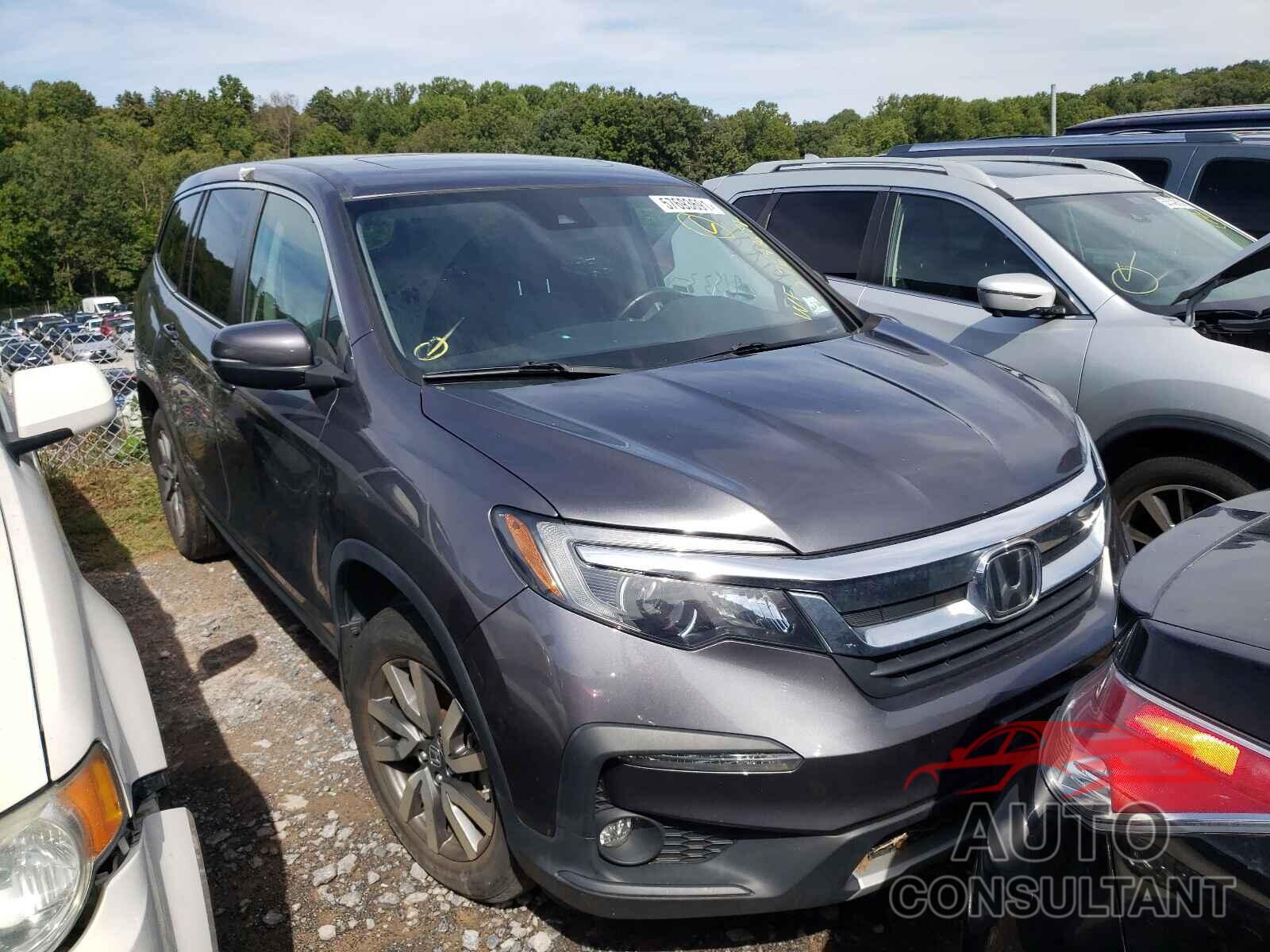 HONDA PILOT 2019 - 5FNYF6H53KB059245
