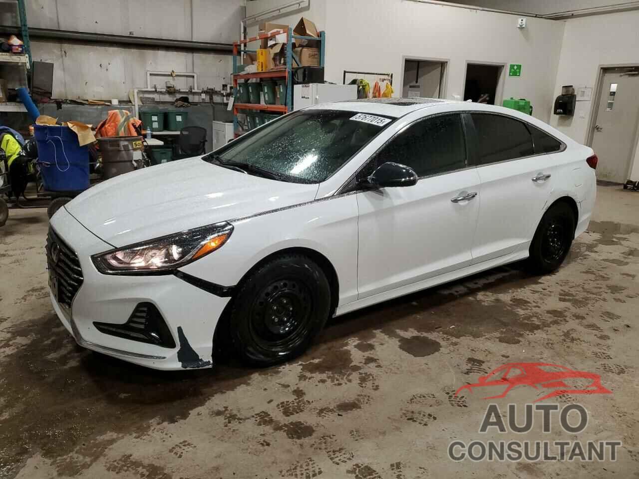 HYUNDAI SONATA 2019 - 5NPE34AF1KH801646