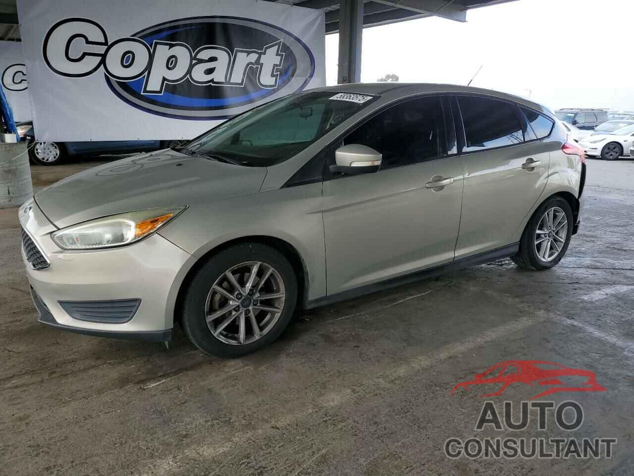 FORD FOCUS 2016 - 1FADP3K29GL344941