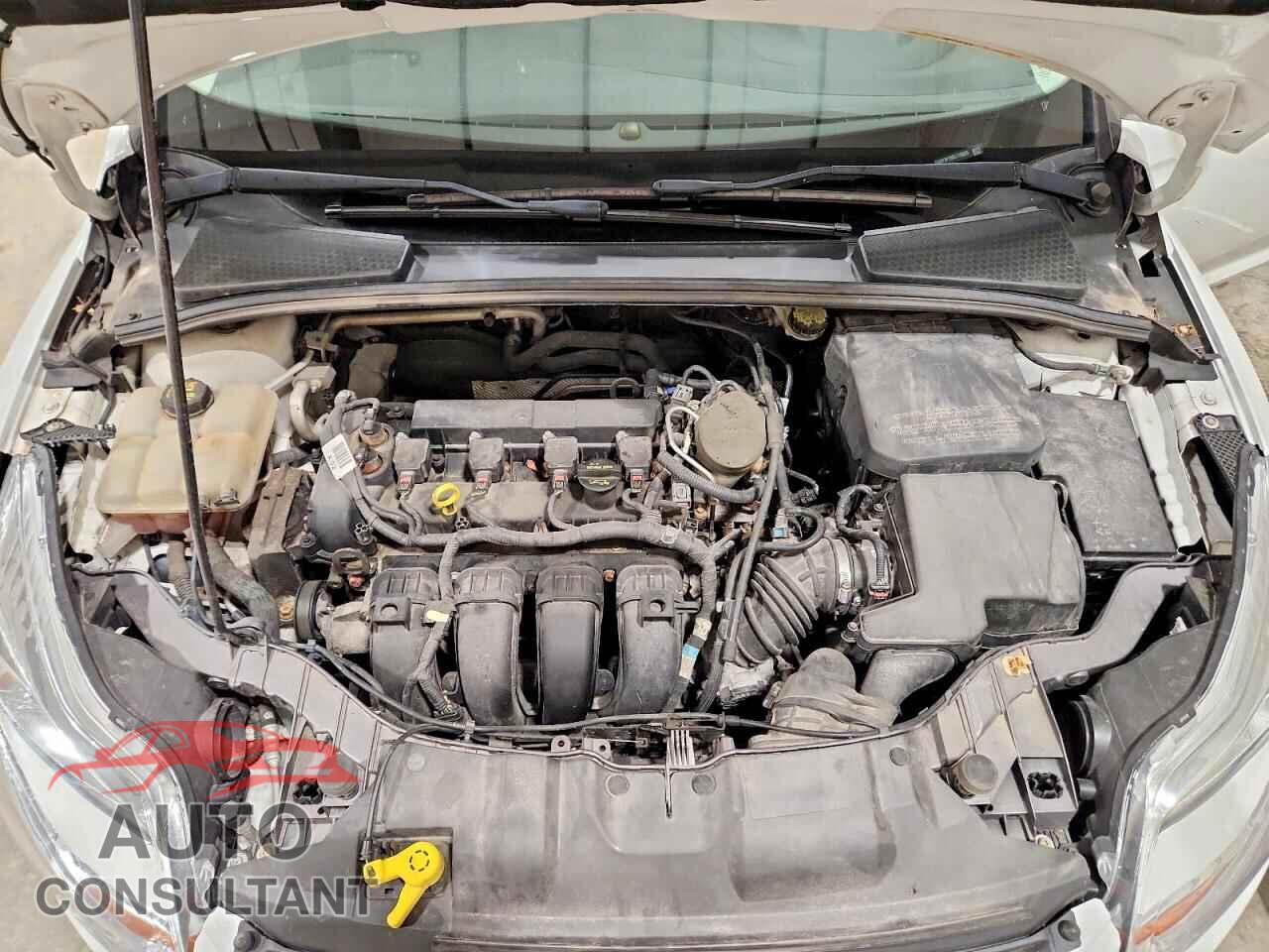 FORD FOCUS 2014 - 1FADP3F20EL119525