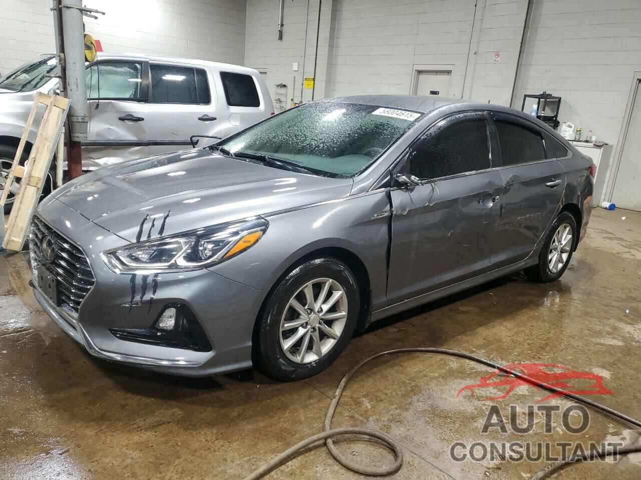 HYUNDAI SONATA 2019 - 5NPE24AF7KH810984