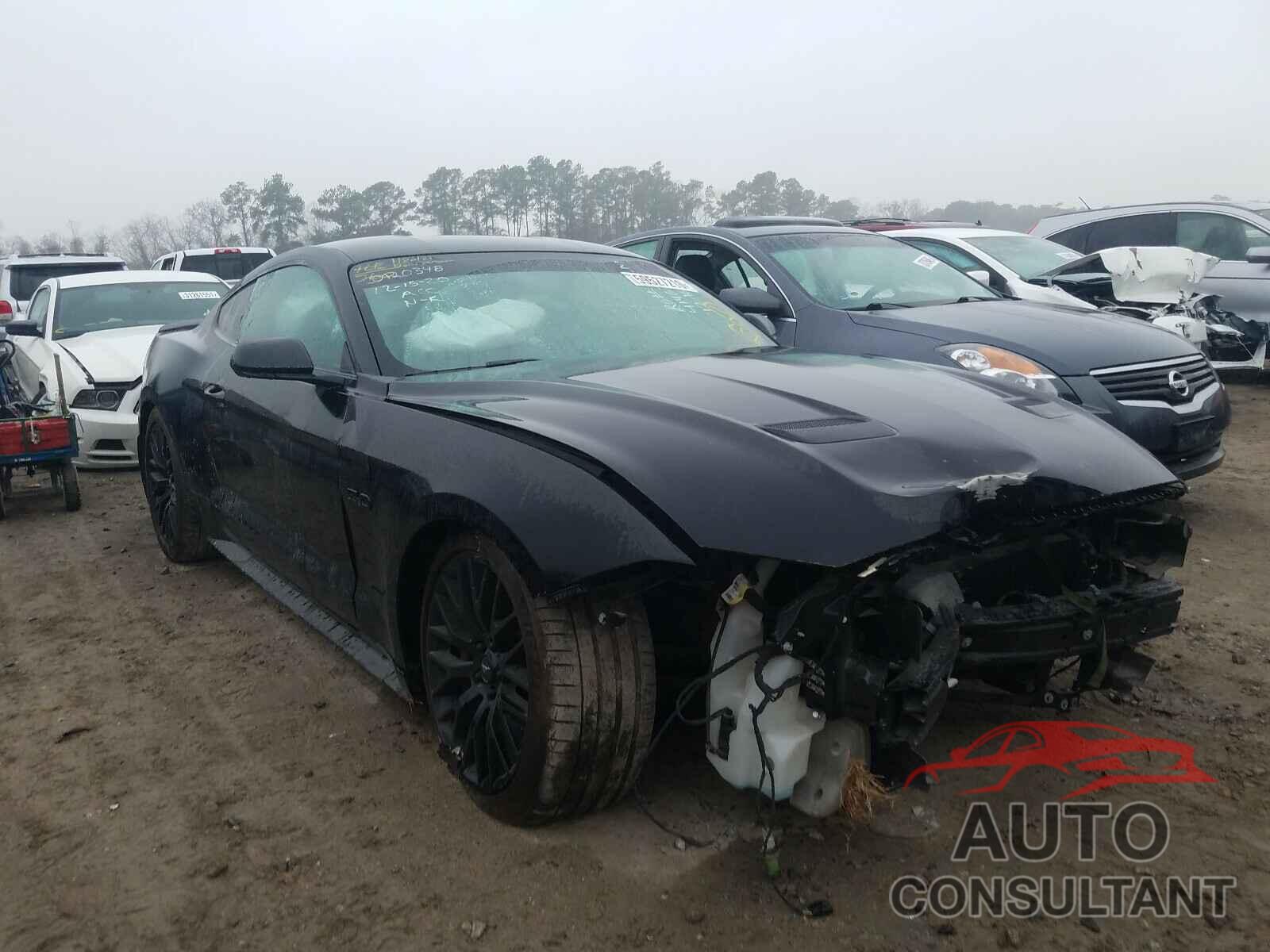 FORD MUSTANG 2019 - 1FA6P8CF4K5124918