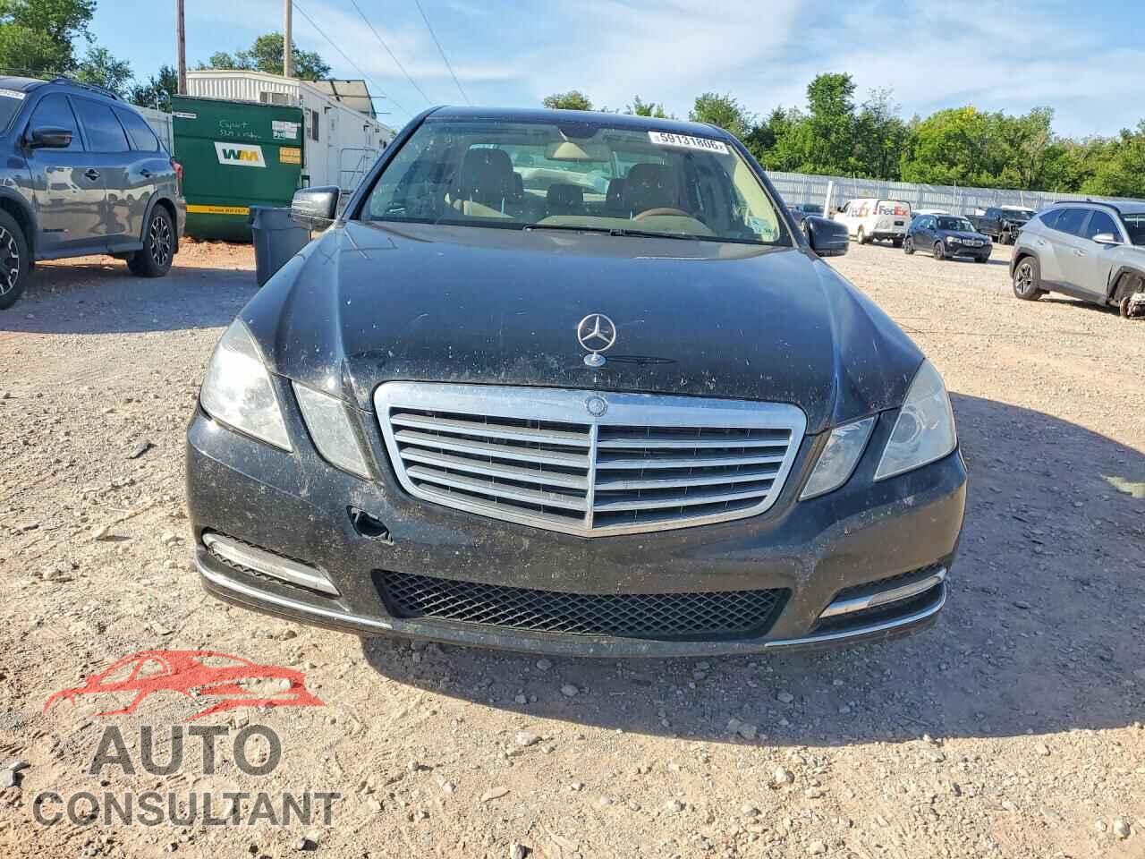 MERCEDES-BENZ E-CLASS 2012 - WDDHF2EB0CA559074