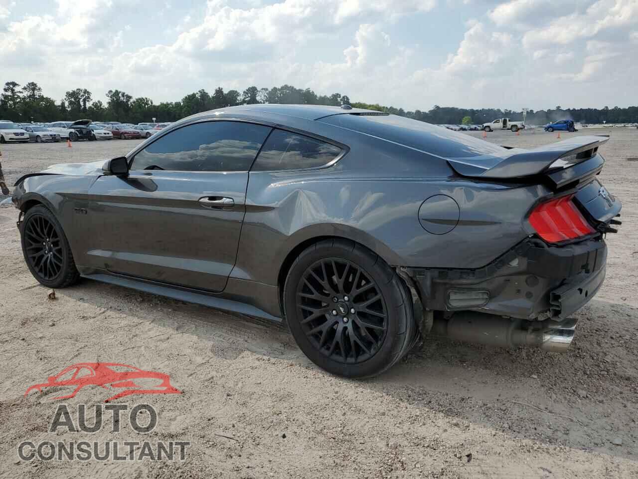FORD MUSTANG 2019 - 1FA6P8CF5K5115094
