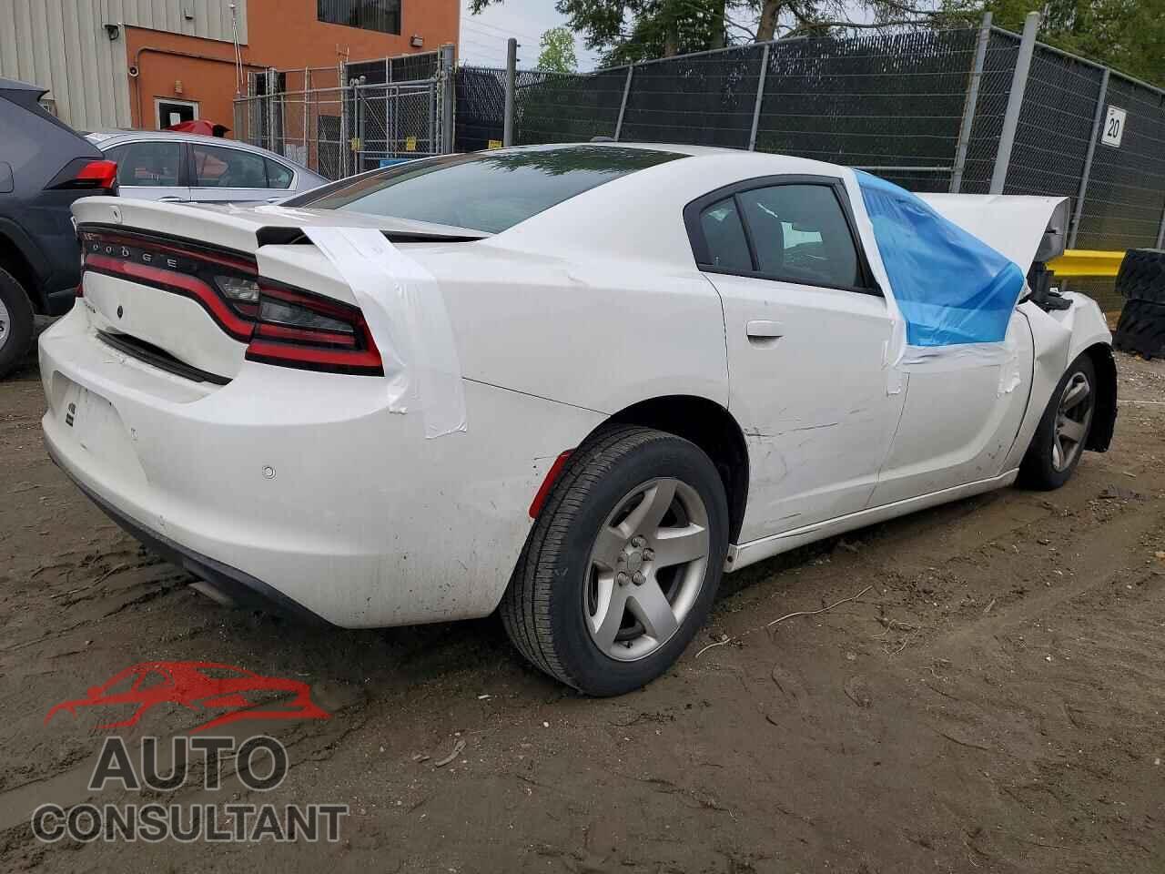DODGE CHARGER 2019 - 2C3CDXAG8KH513733