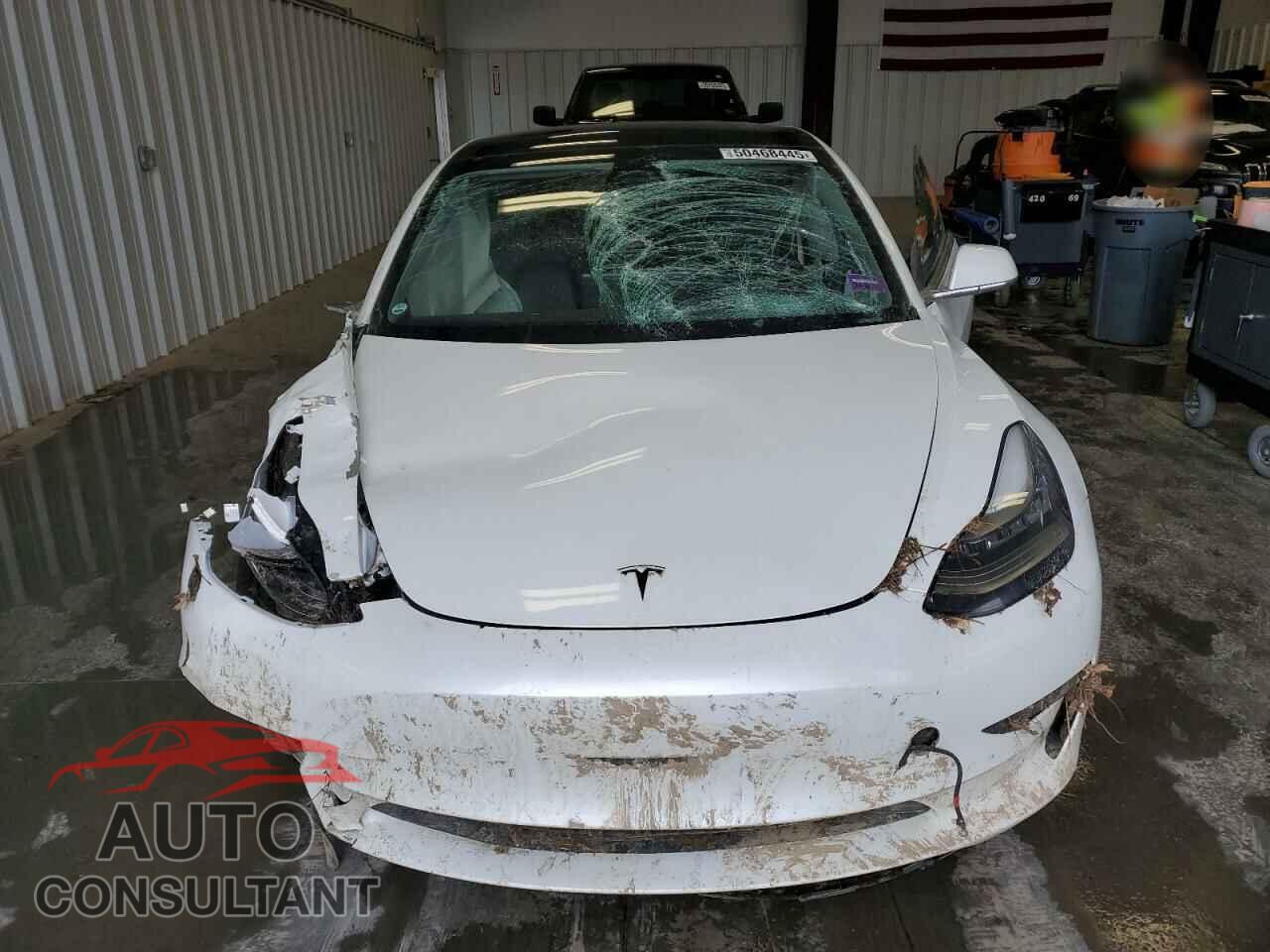 TESLA MODEL 3 2019 - 5YJ3E1EB3KF494292