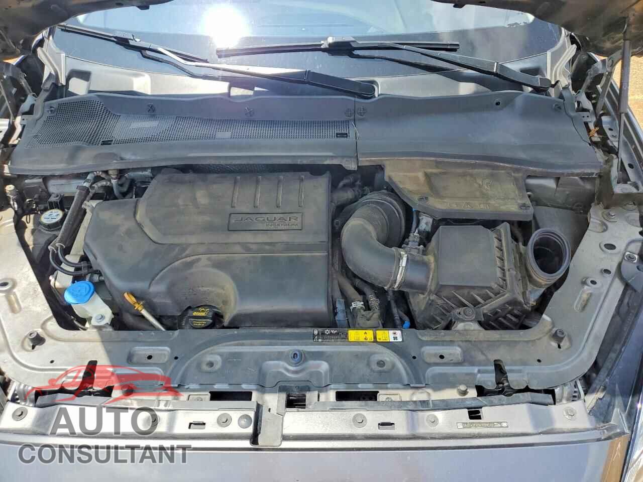 JAGUAR ETYPE 2019 - SADFK2FX5K1Z64549