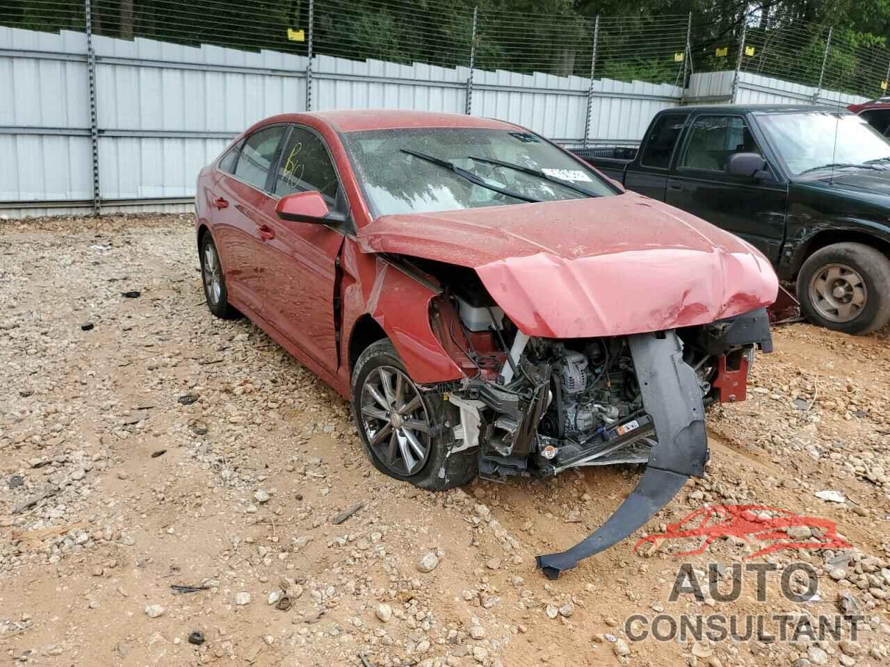 HYUNDAI SONATA 2019 - 5NPE24AF4KH756494