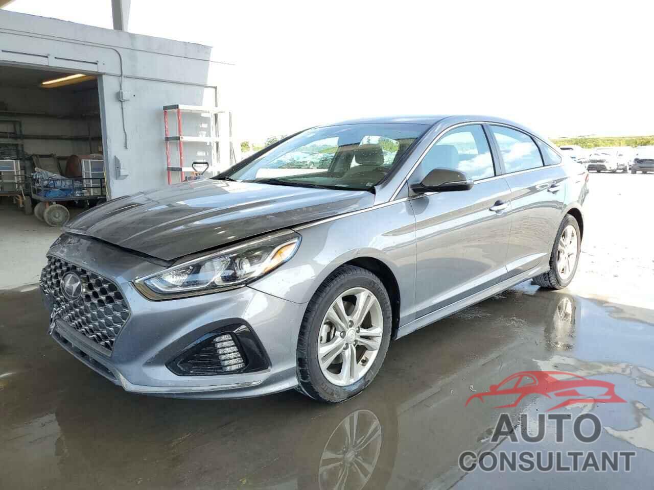 HYUNDAI SONATA 2019 - 5NPE34AF6KH772662