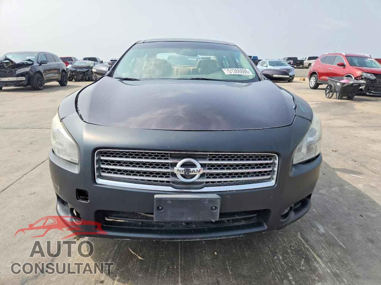 NISSAN MAXIMA 2010 - 1N4AA5AP7AC830331