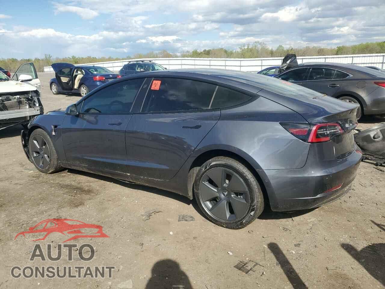 TESLA MODEL 3 2021 - 5YJ3E1EA5MF087892