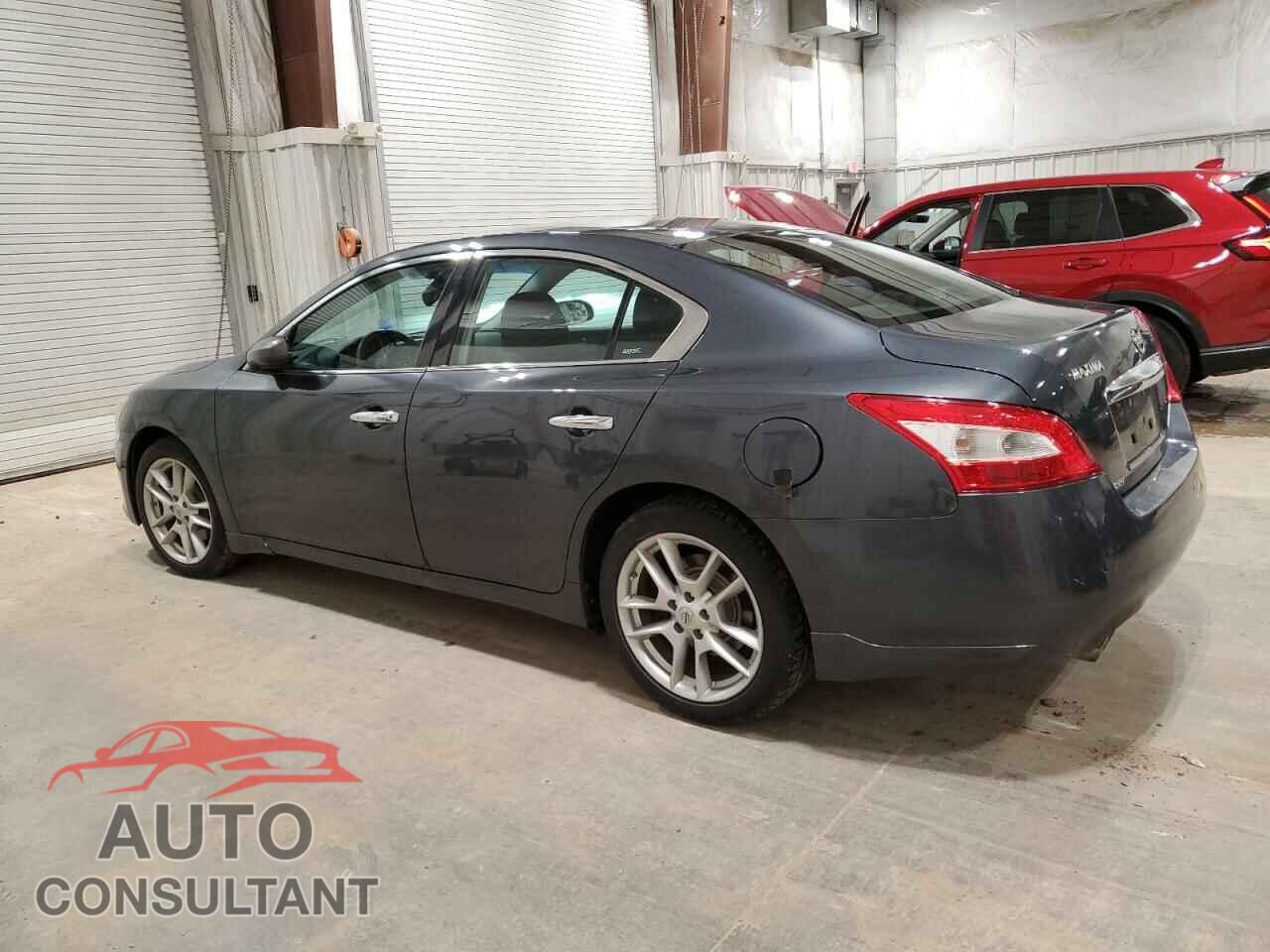 NISSAN MAXIMA 2011 - 1N4AA5AP3BC819862