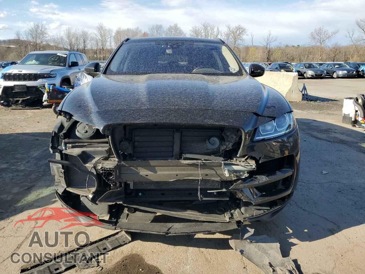 JAGUAR F-PACE 2019 - SADCJ2FX4KA361999