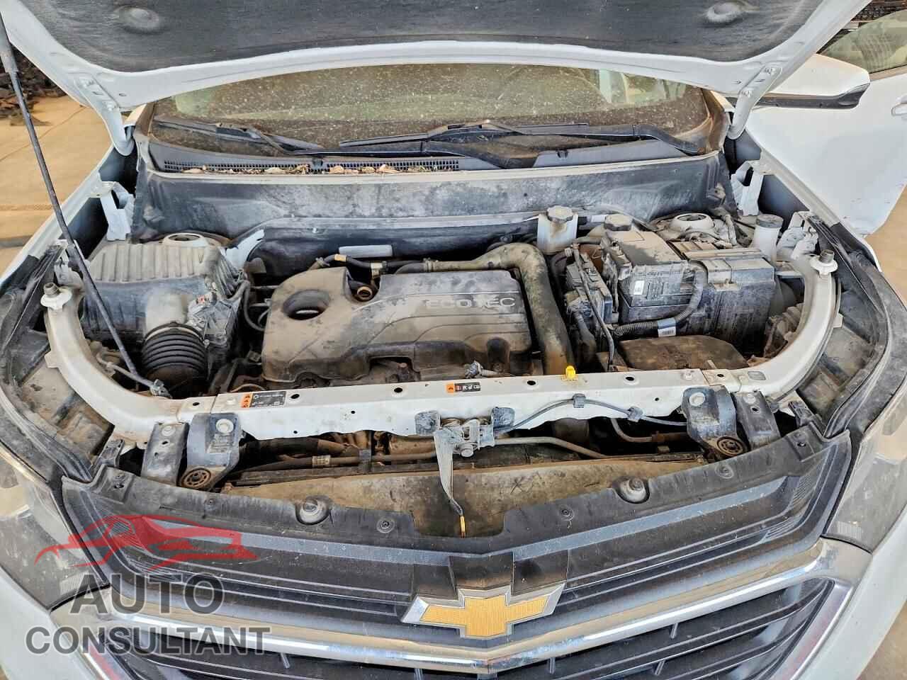 CHEVROLET EQUINOX 2019 - 3GNAXUEV3KL161757