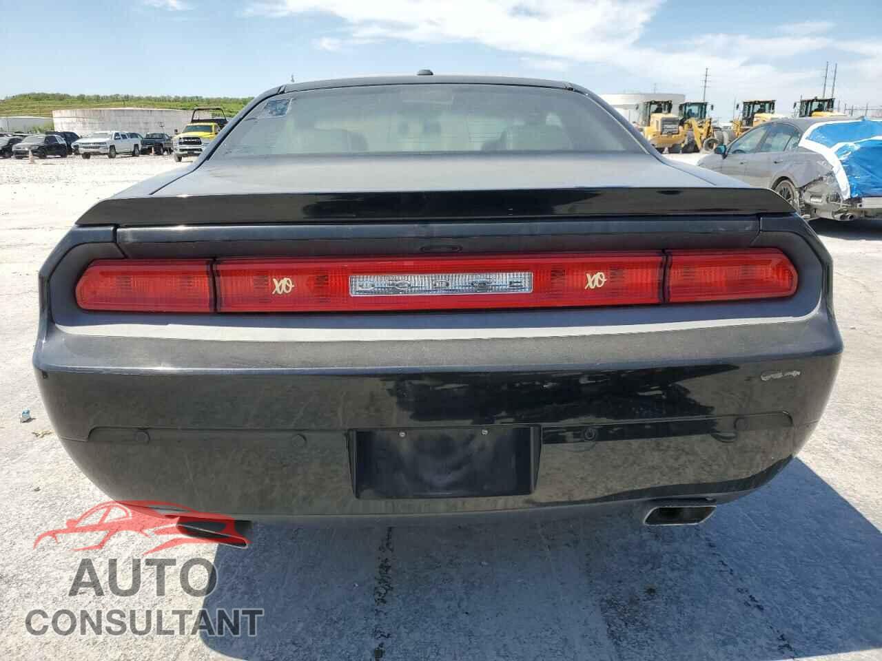 DODGE CHALLENGER 2013 - 2C3CDYBTXDH536094