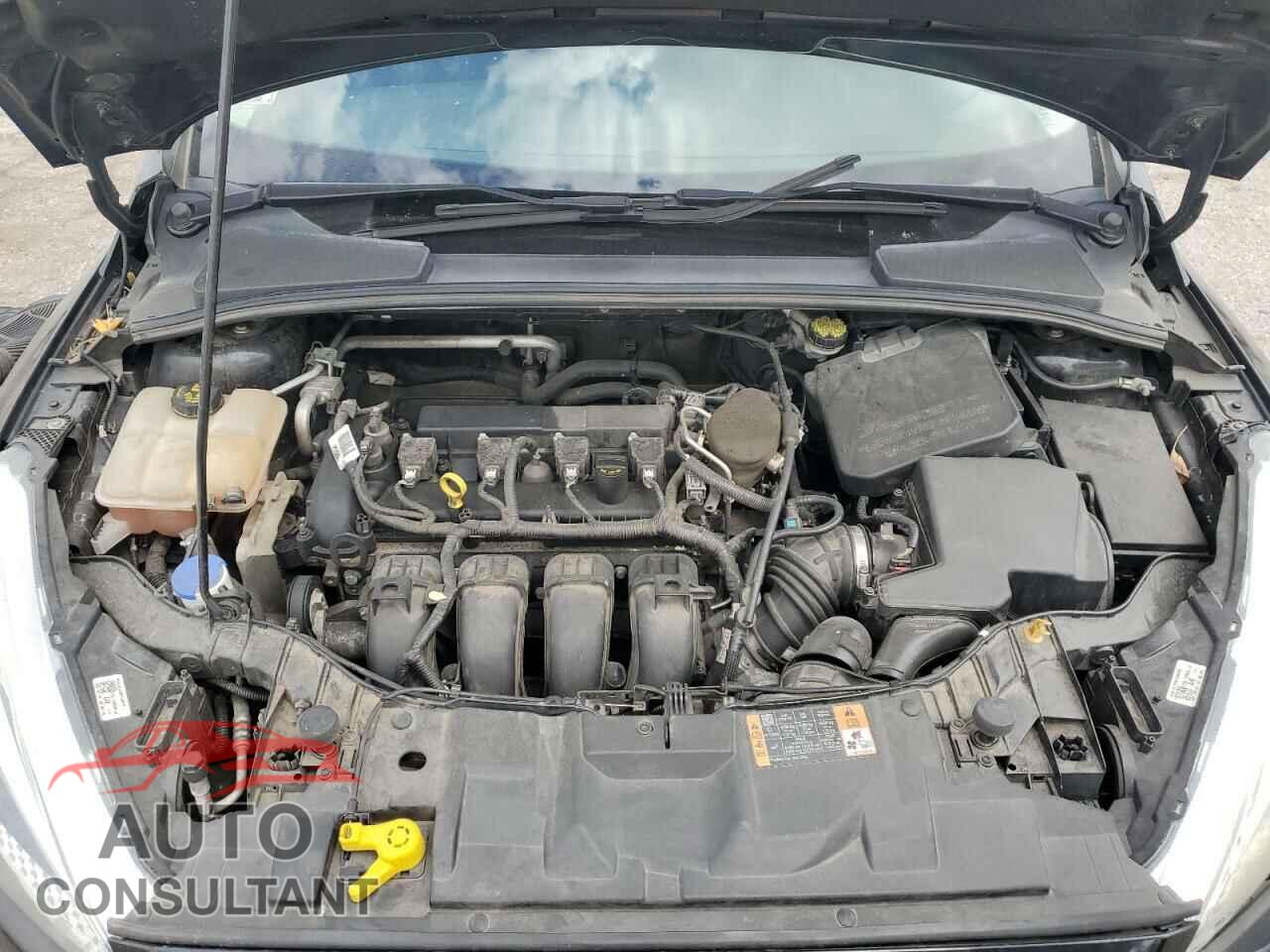FORD FOCUS 2015 - 1FADP3F20FL249872