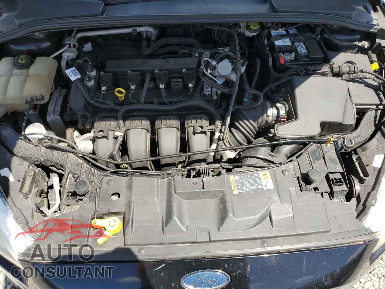 FORD FOCUS 2016 - 1FADP3F24GL335882