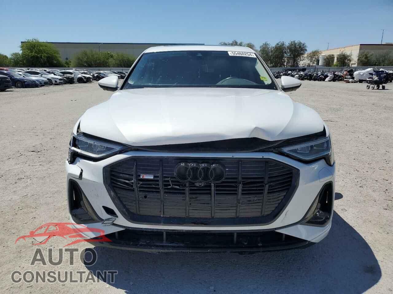 AUDI E-TRON 2021 - WA12AAGE6MB001090