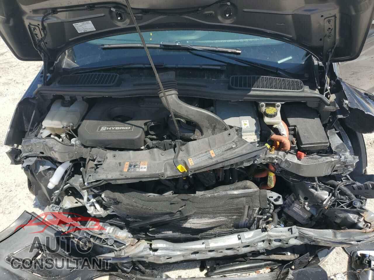 FORD CMAX 2018 - 1FADP5DU0JL104453
