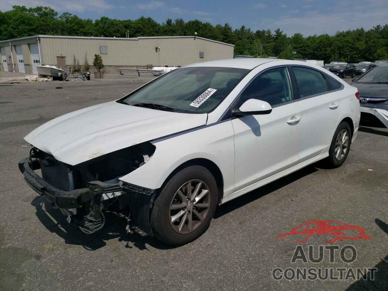 HYUNDAI SONATA 2019 - 5NPE24AF3KH738794