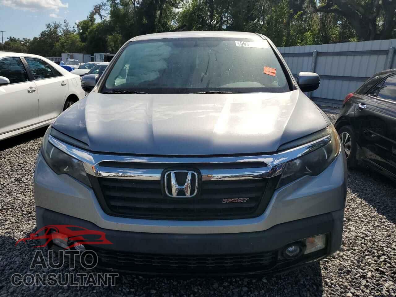 HONDA RIDGELINE 2019 - 5FPYK2F16KB008317