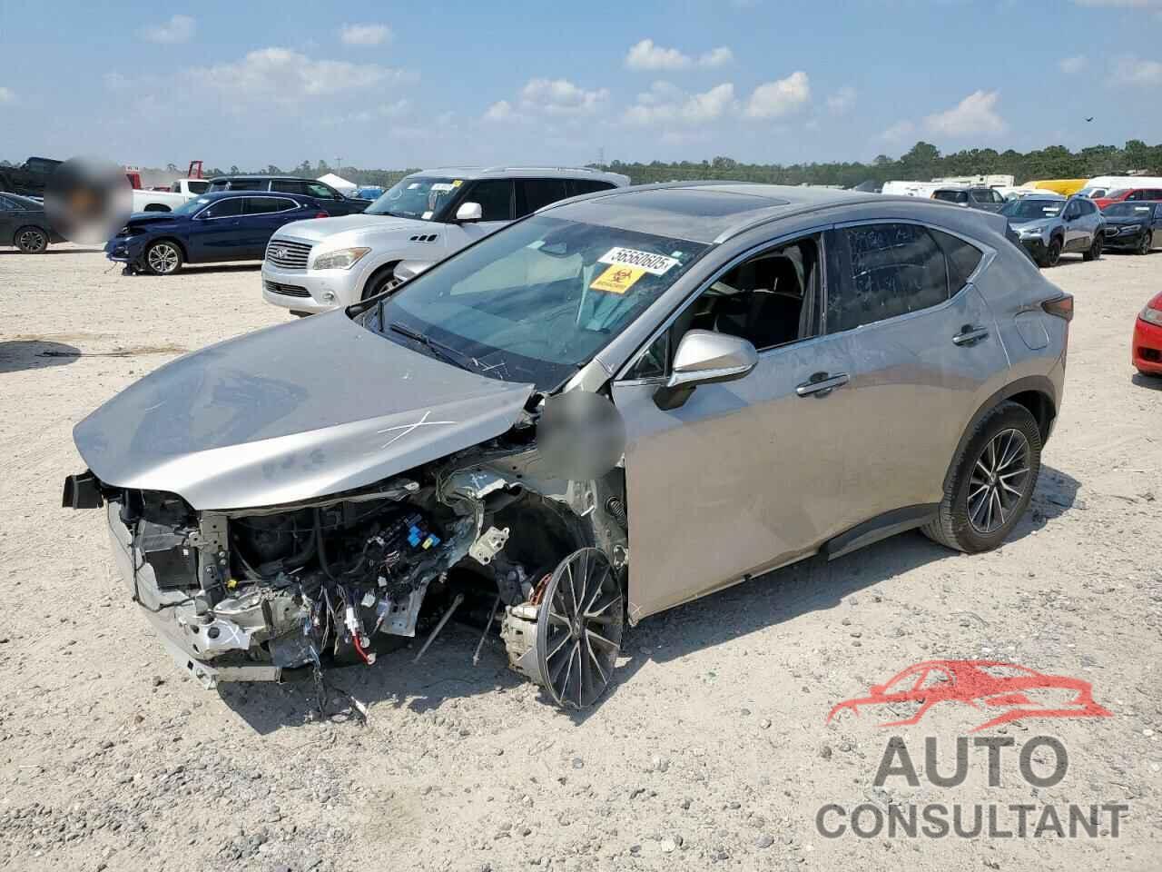 LEXUS NX 250 PRE 2024 - 2T2GDCAZ3RC008951