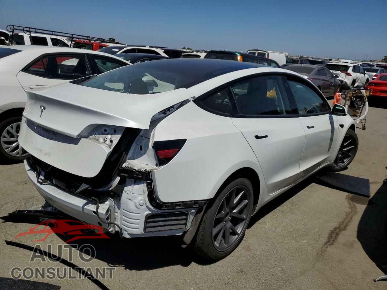 TESLA MODEL 3 2023 - 5YJ3E1EA5PF397691