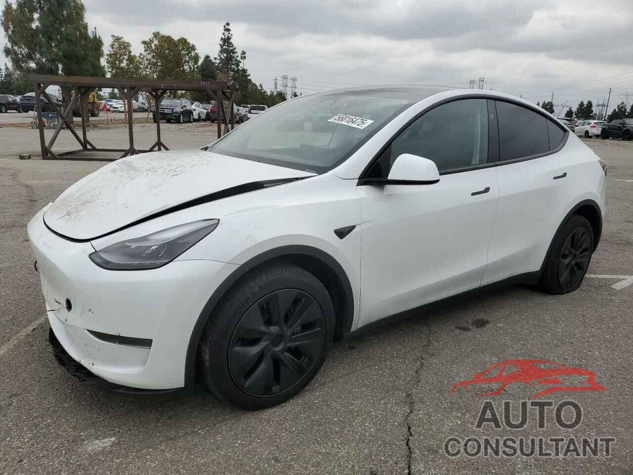TESLA MODEL Y 2024 - 7SAYGDEDXRF104806