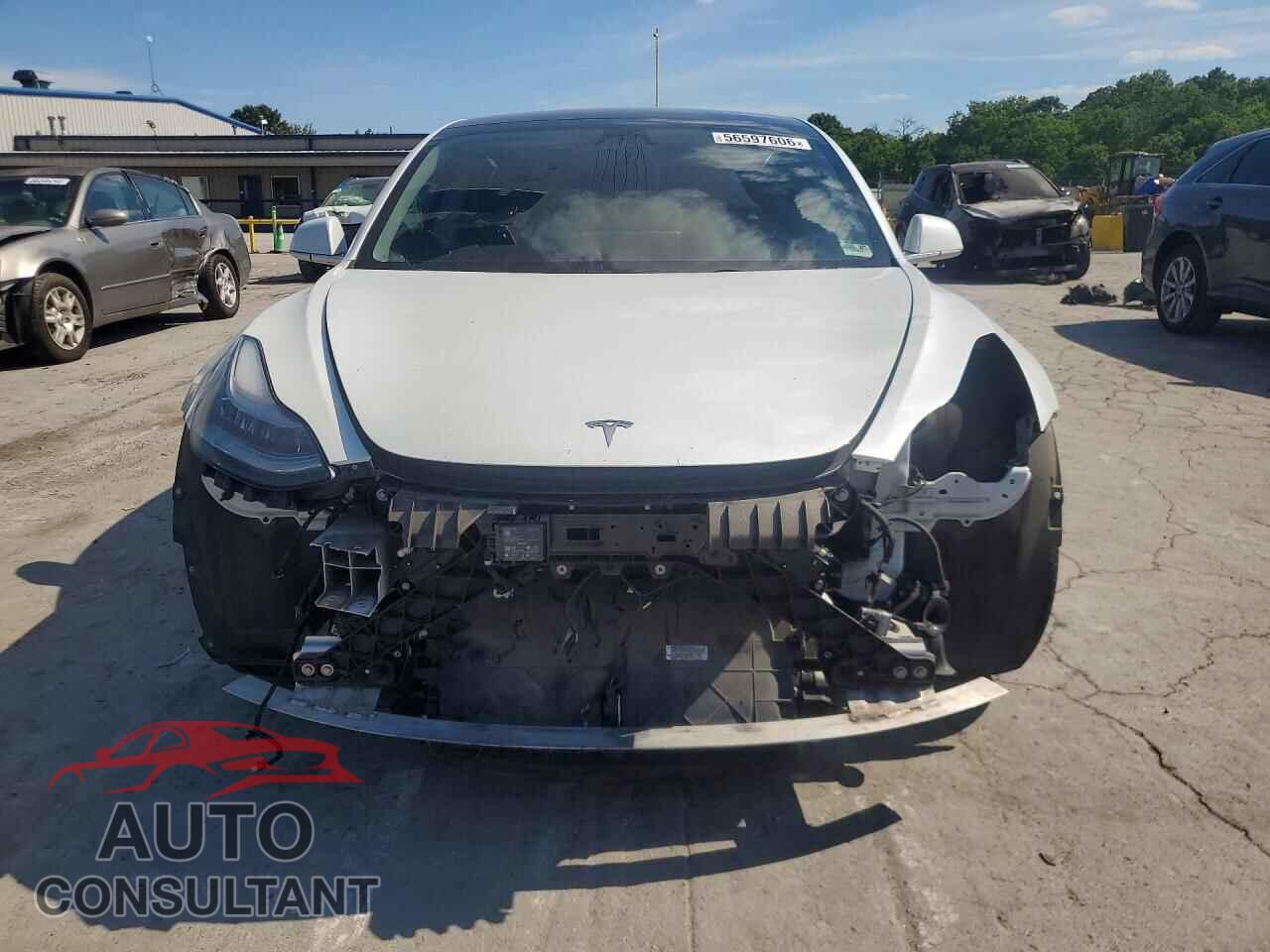TESLA MODEL 3 2020 - 5YJ3E1EA7LF739894