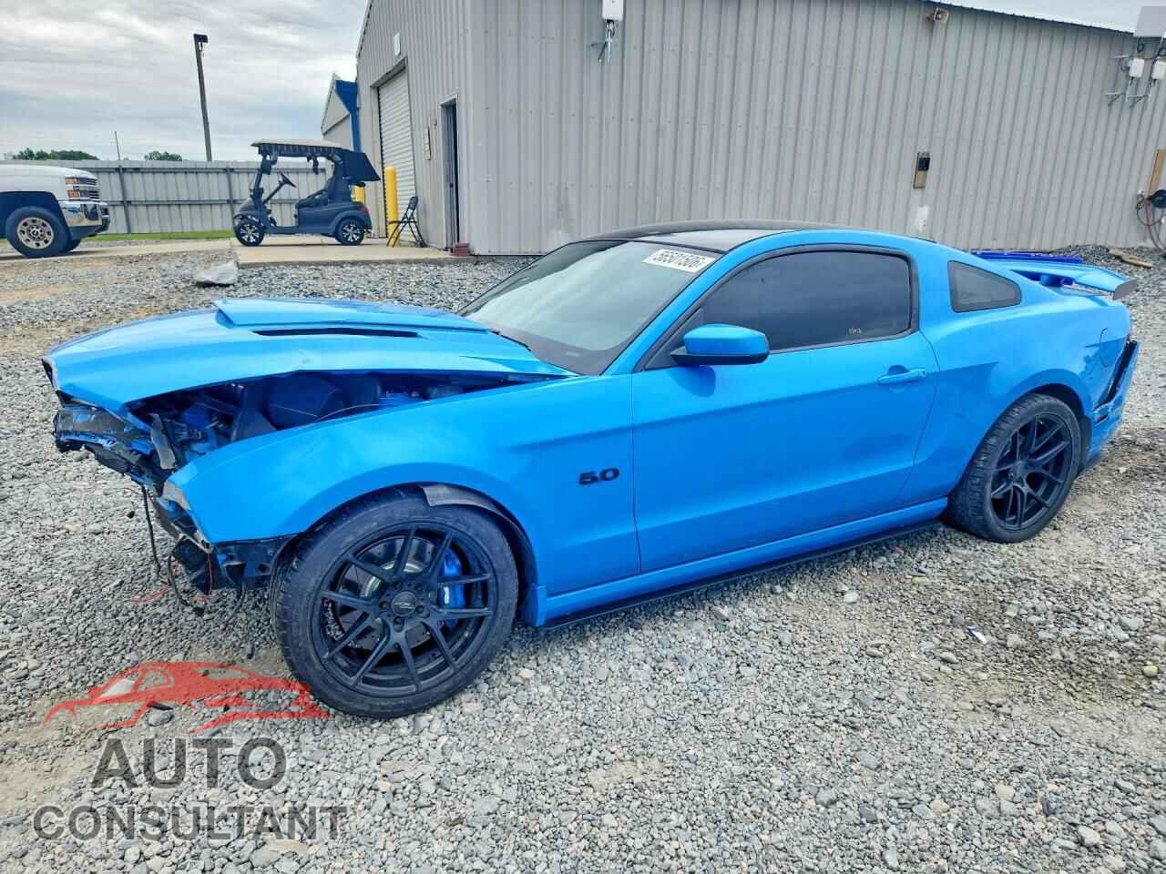 FORD MUSTANG 2013 - 1ZVBP8CF8D5248831