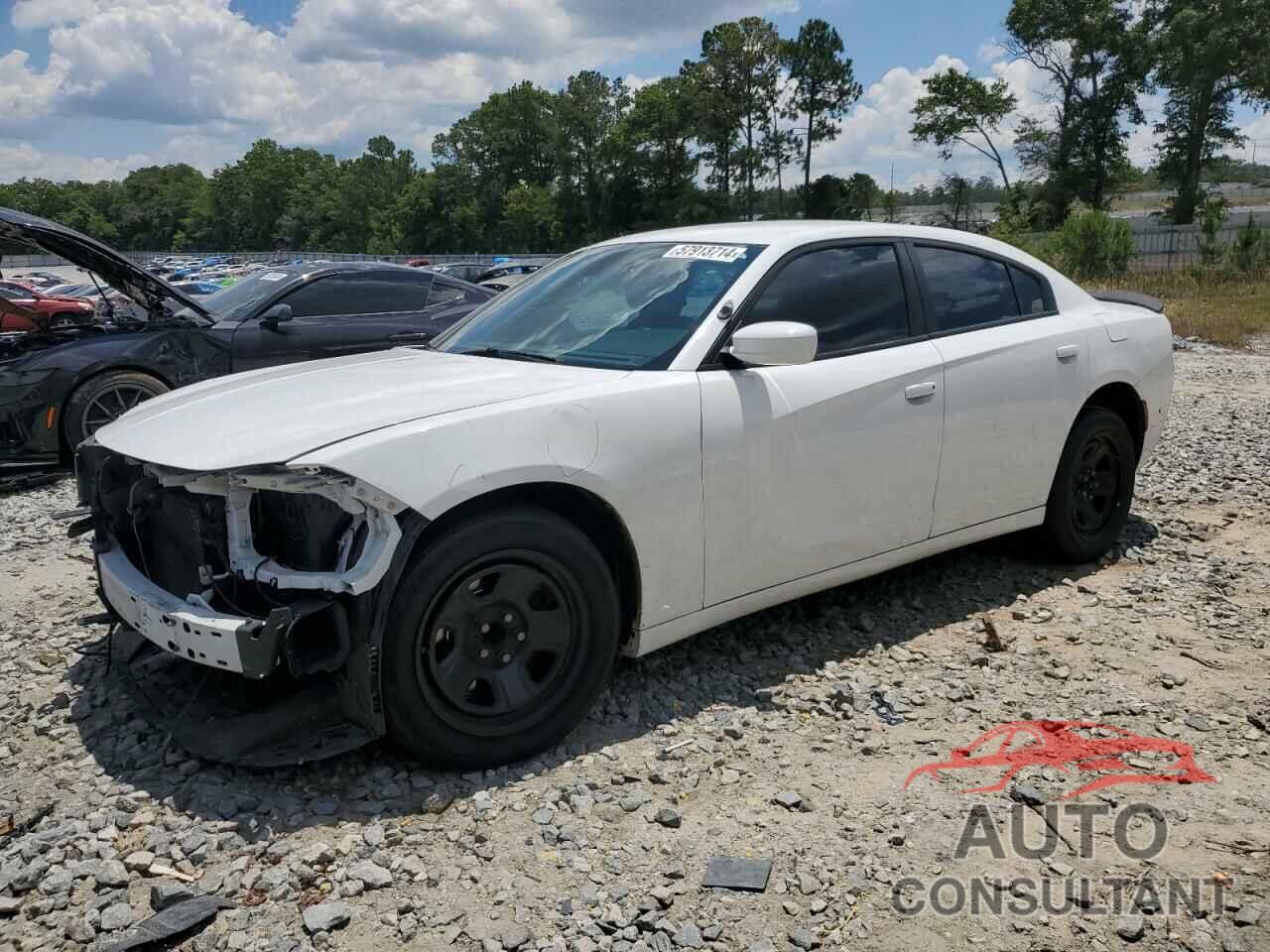 DODGE CHARGER 2019 - 2C3CDXAG1KH547562