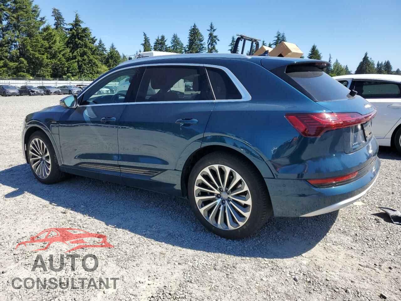AUDI E-TRON 2019 - WA1VAAGE3KB021940