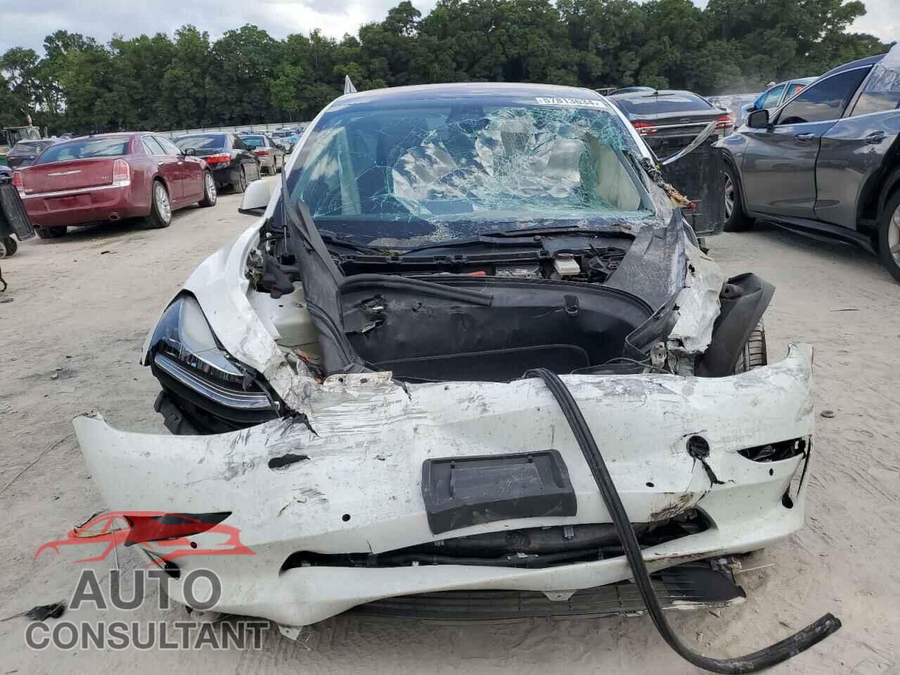 TESLA MODEL 3 2019 - 5YJ3E1EA1KF314007
