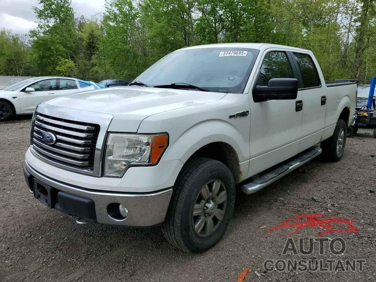 FORD F-150 2010 - 1FTFW1E86AFB79172