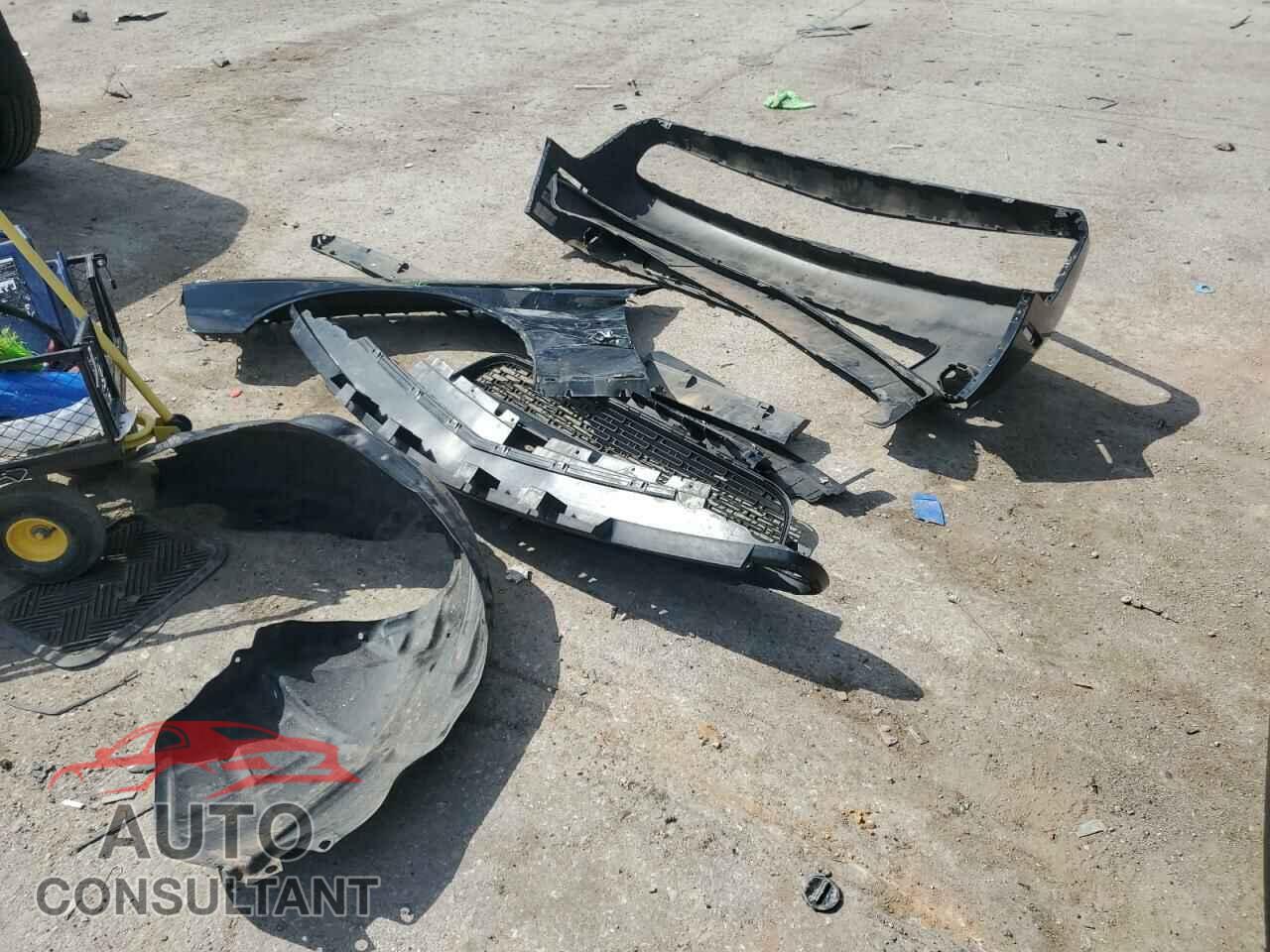 DODGE CHALLENGER 2019 - 2C3CDZAG4KH521582